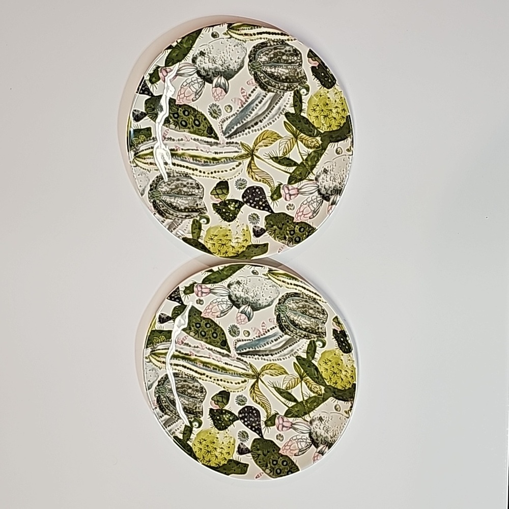 S/2 World Market Ceramic Succulent Cacti Design 8.75" Salad Plates